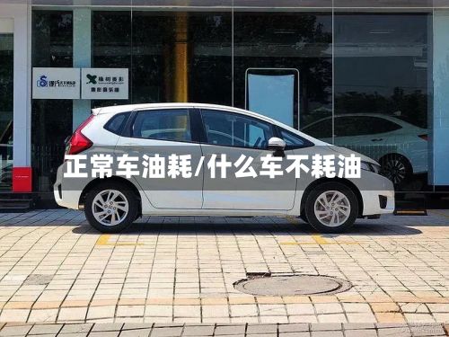 正常车油耗/什么车不耗油-第3张图片