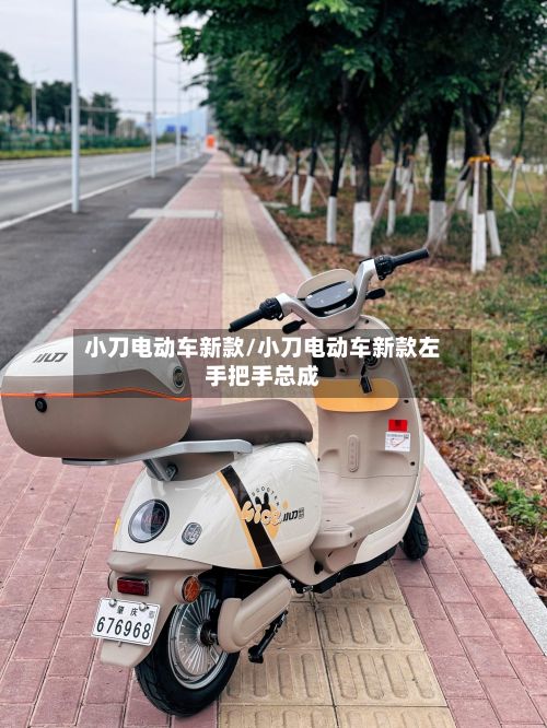 小刀电动车新款/小刀电动车新款左手把手总成-第2张图片