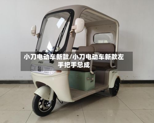 小刀电动车新款/小刀电动车新款左手把手总成