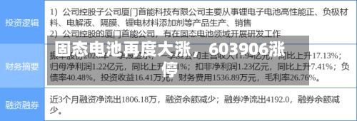 固态电池再度大涨，603906涨停-第2张图片