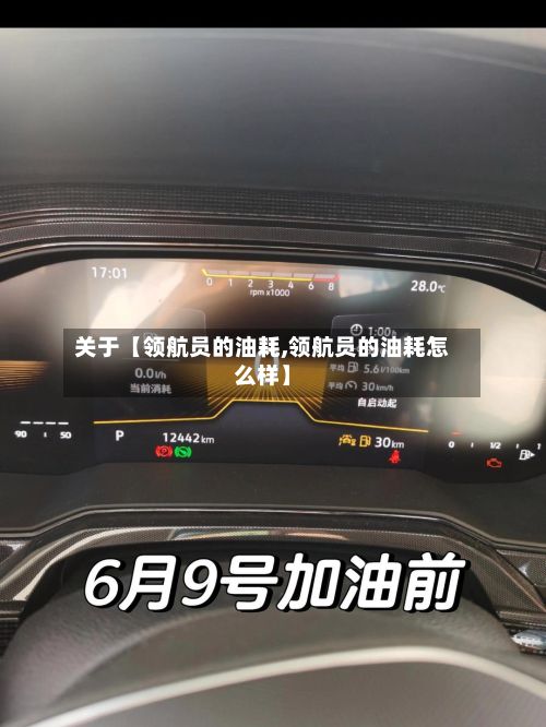关于【领航员的油耗,领航员的油耗怎么样】