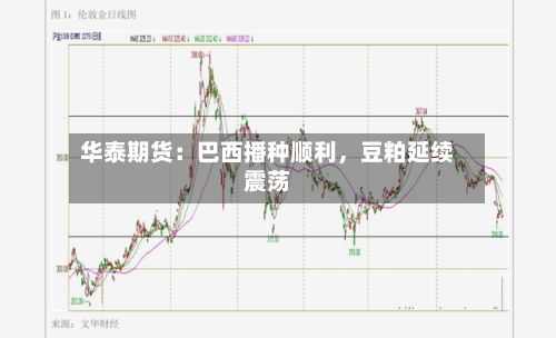 华泰期货：巴西播种顺利	，豆粕延续震荡-第2张图片