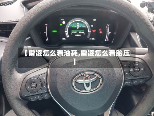 【雷凌怎么看油耗,雷凌怎么看胎压】-第1张图片