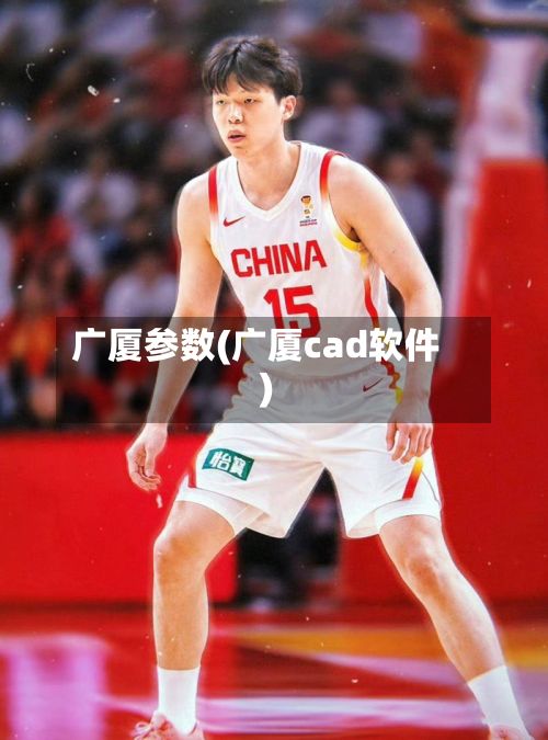 广厦参数(广厦cad软件)-第2张图片