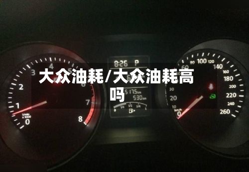 大众油耗/大众油耗高吗-第2张图片