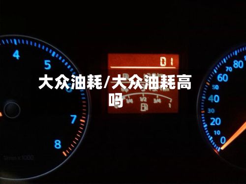 大众油耗/大众油耗高吗