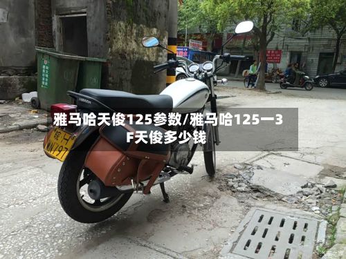 雅马哈天俊125参数/雅马哈125一3F天俊多少钱-第2张图片