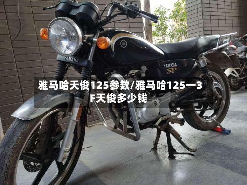 雅马哈天俊125参数/雅马哈125一3F天俊多少钱-第3张图片