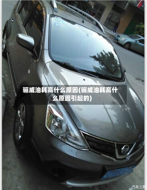 骊威油耗高什么原因(骊威油耗高什么原因引起的)-第3张图片