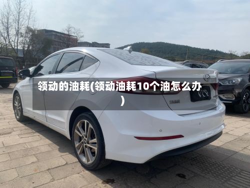 领动的油耗(领动油耗10个油怎么办)