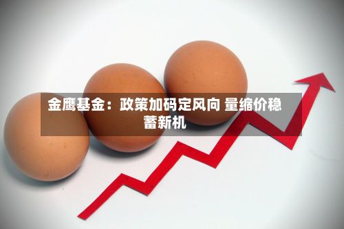 金鹰基金：政策加码定风向 量缩价稳蓄新机-第2张图片