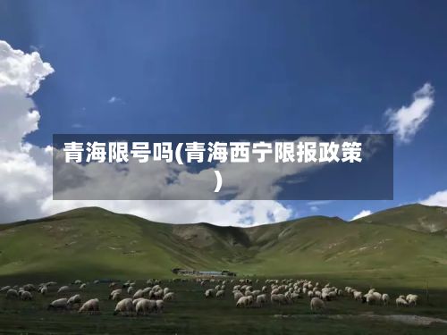 青海限号吗(青海西宁限报政策)-第2张图片