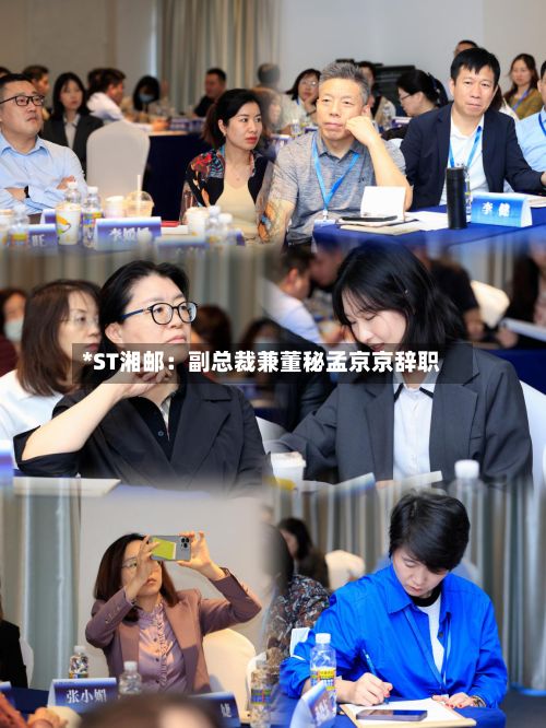 *ST湘邮：副总裁兼董秘孟京京辞职-第3张图片