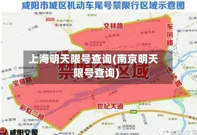 上海明天限号查询(南京明天限号查询)-第3张图片