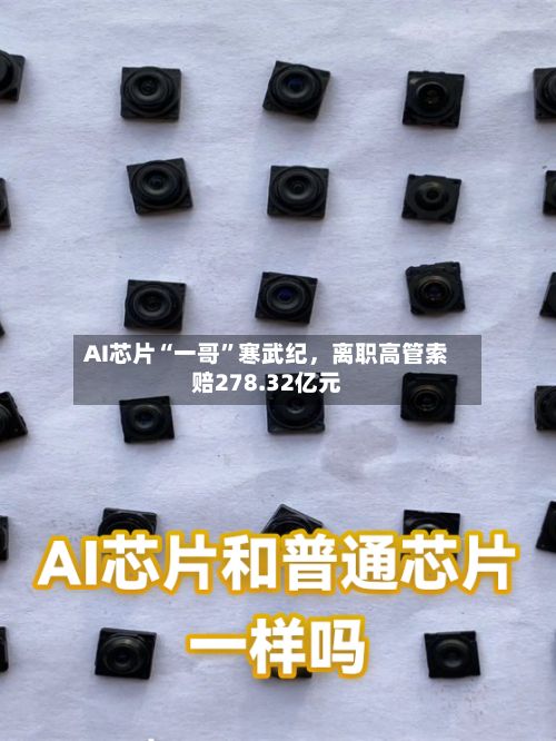 AI芯片“一哥”寒武纪	，离职高管索赔278.32亿元-第3张图片