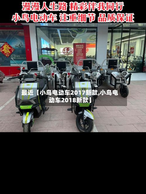 最近【小鸟电动车2017新款,小鸟电动车2018新款】-第2张图片