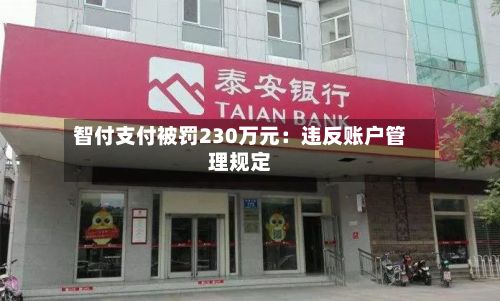 智付支付被罚230万元：违反账户管理规定