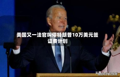 美国又一法官叫停特朗普10万美元签证费计划-第2张图片