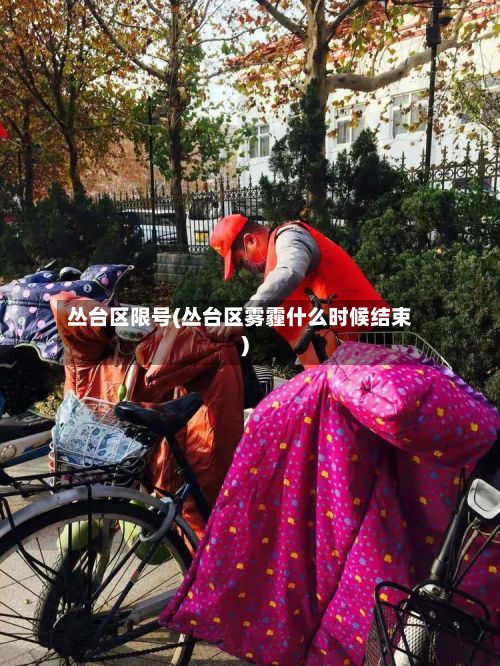 丛台区限号(丛台区雾霾什么时候结束)