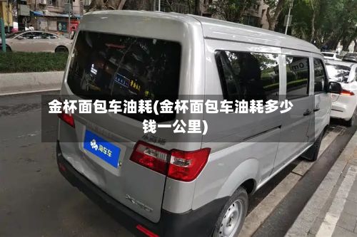金杯面包车油耗(金杯面包车油耗多少钱一公里)
