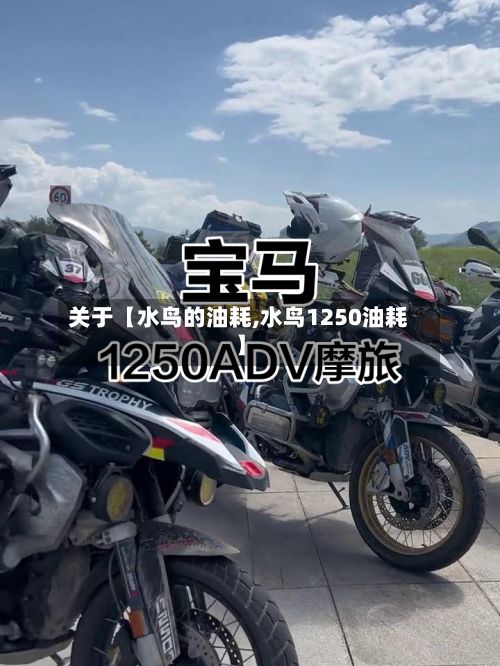 关于【水鸟的油耗,水鸟1250油耗】