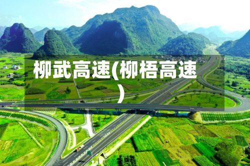 柳武高速(柳梧高速)-第3张图片