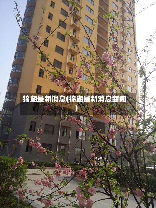 锦湖最新消息(锦湖最新消息新闻)