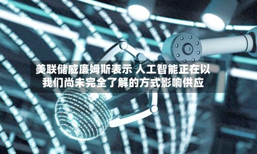 美联储威廉姆斯表示 人工智能正在以我们尚未完全了解的方式影响供应-第2张图片