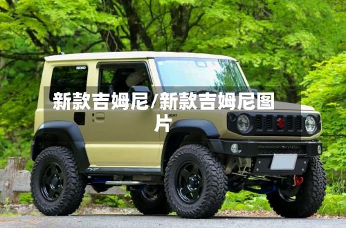 新款吉姆尼/新款吉姆尼图片-第2张图片
