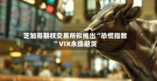 芝加哥期权交易所拟推出“恐慌指数”VIX永续期货-第2张图片