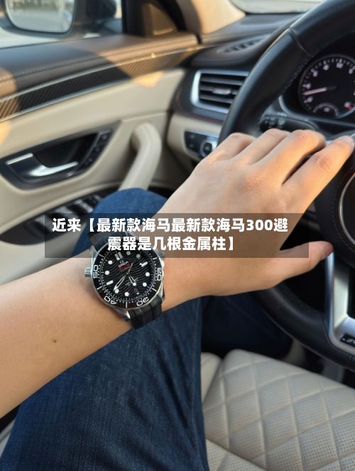 近来【最新款海马最新款海马300避震器是几根金属柱】-第3张图片
