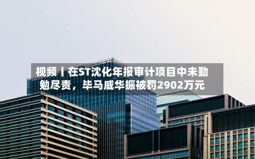视频丨在ST沈化年报审计项目中未勤勉尽责，毕马威华振被罚2902万元