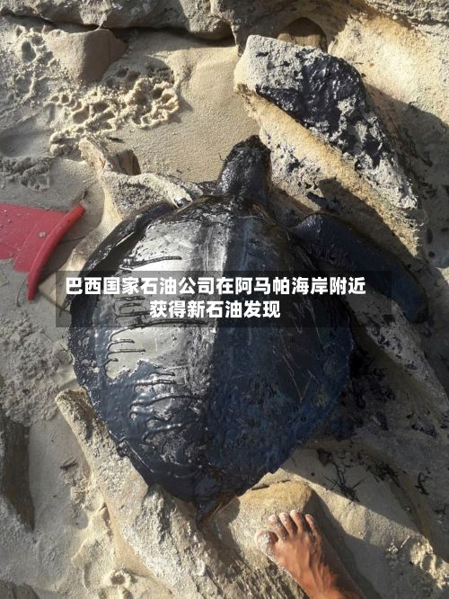 巴西国家石油公司在阿马帕海岸附近获得新石油发现