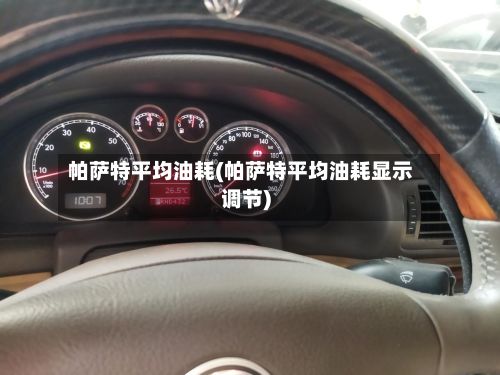 帕萨特平均油耗(帕萨特平均油耗显示调节)-第3张图片