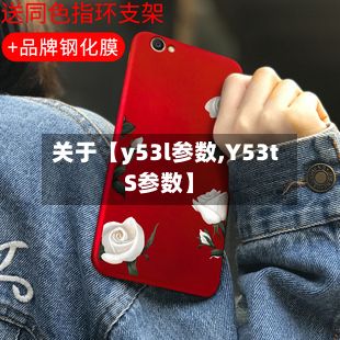 关于【y53l参数,Y53tS参数】-第2张图片