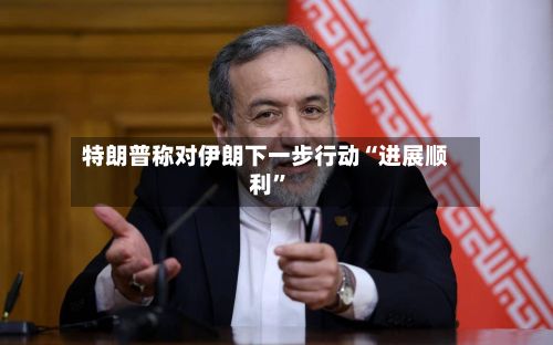 特朗普称对伊朗下一步行动“进展顺利	”-第2张图片