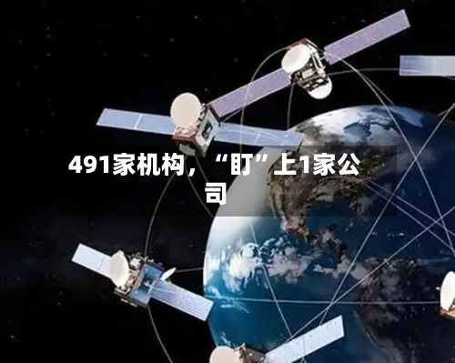 491家机构，“盯”上1家公司-第2张图片