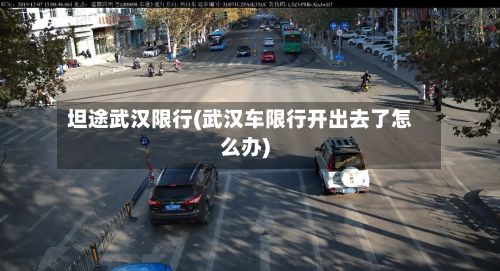 坦途武汉限行(武汉车限行开出去了怎么办)