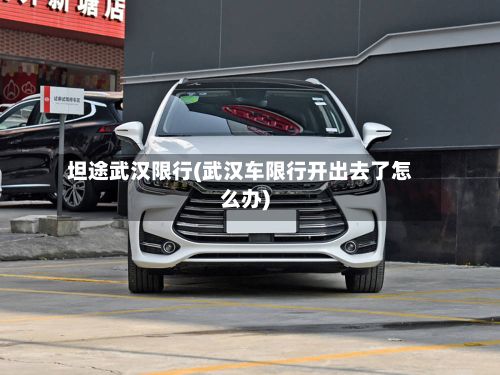 坦途武汉限行(武汉车限行开出去了怎么办)-第2张图片