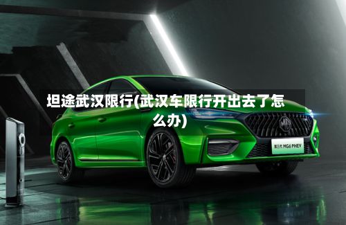 坦途武汉限行(武汉车限行开出去了怎么办)-第3张图片