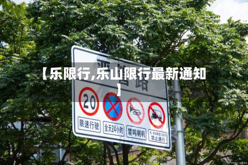 【乐限行,乐山限行最新通知】-第3张图片