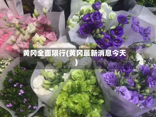 黄冈全面限行(黄冈最新消息今天)-第2张图片