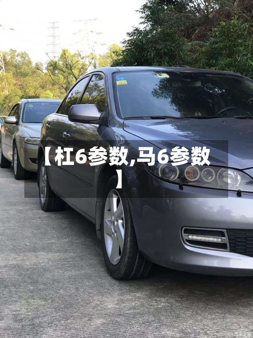 【杠6参数,马6参数】-第2张图片