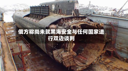 俄方称尚未就黑海安全与任何国家进行双边谈判-第2张图片