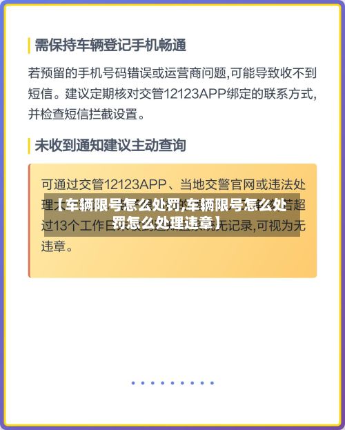 【车辆限号怎么处罚,车辆限号怎么处罚怎么处理违章】