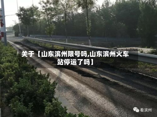 关于【山东滨州限号吗,山东滨州火车站停运了吗】-第2张图片