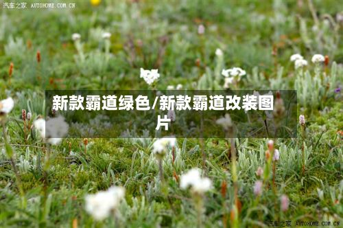 新款霸道绿色/新款霸道改装图片