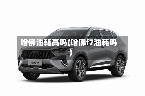 哈佛油耗高吗(哈佛f7油耗吗)-第2张图片