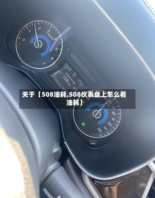 关于【508油耗,508仪表盘上怎么看油耗】-第1张图片