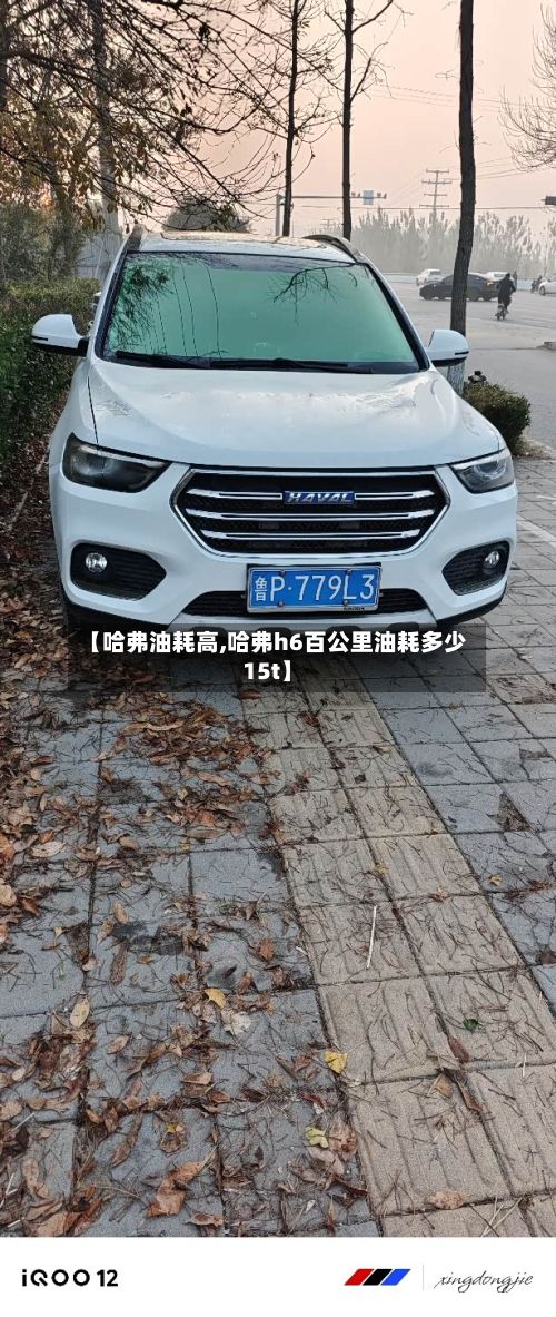 【哈弗油耗高,哈弗h6百公里油耗多少15t】